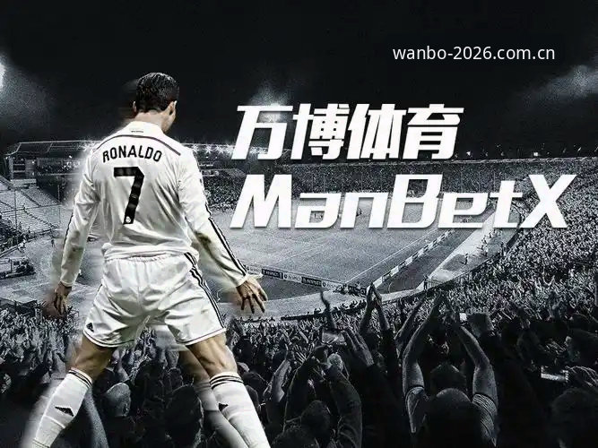 揭秘万博体育平台2026新版：一个老用户的深度体验与实操指南